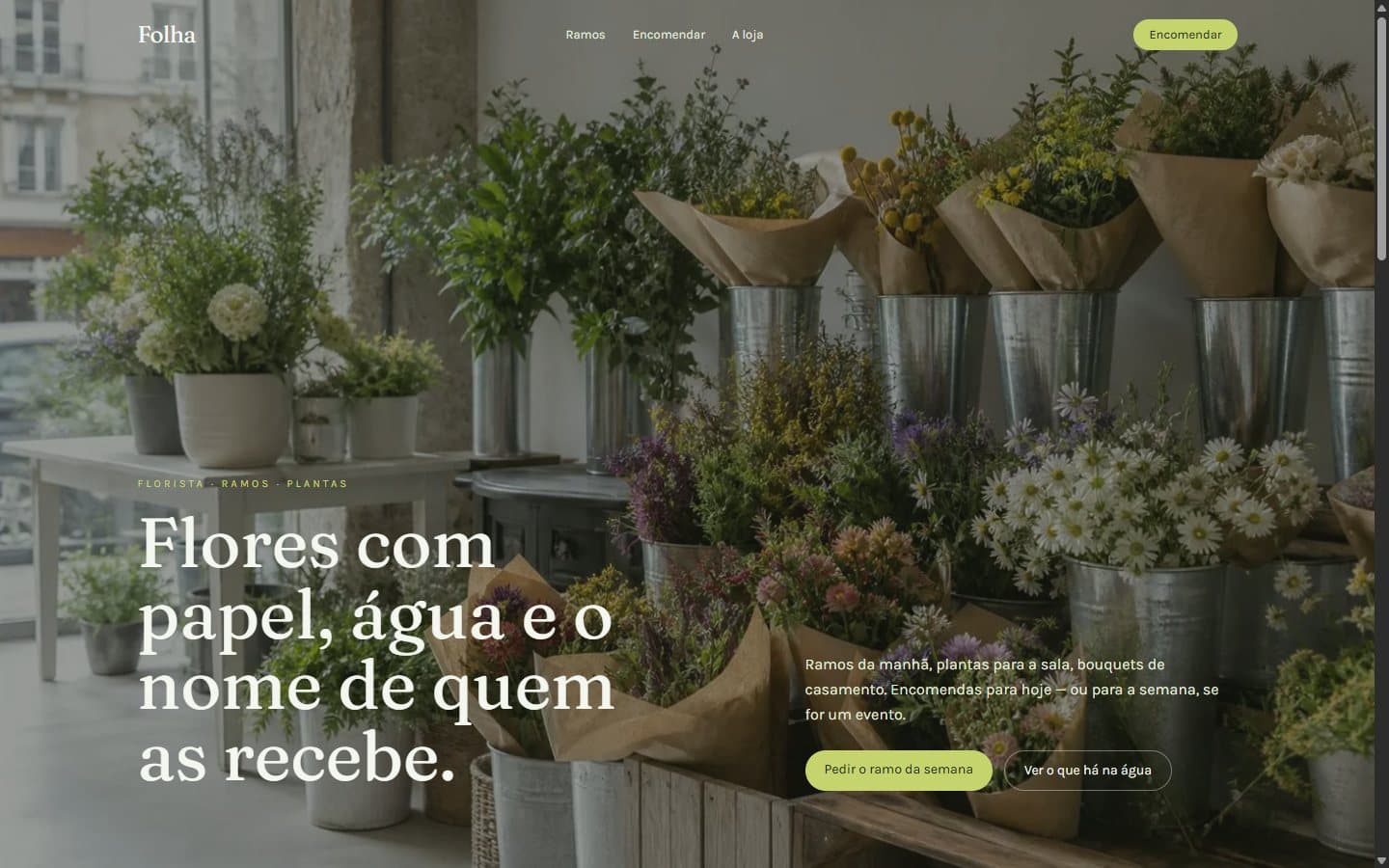 Website da Folha, florista e loja de plantas.